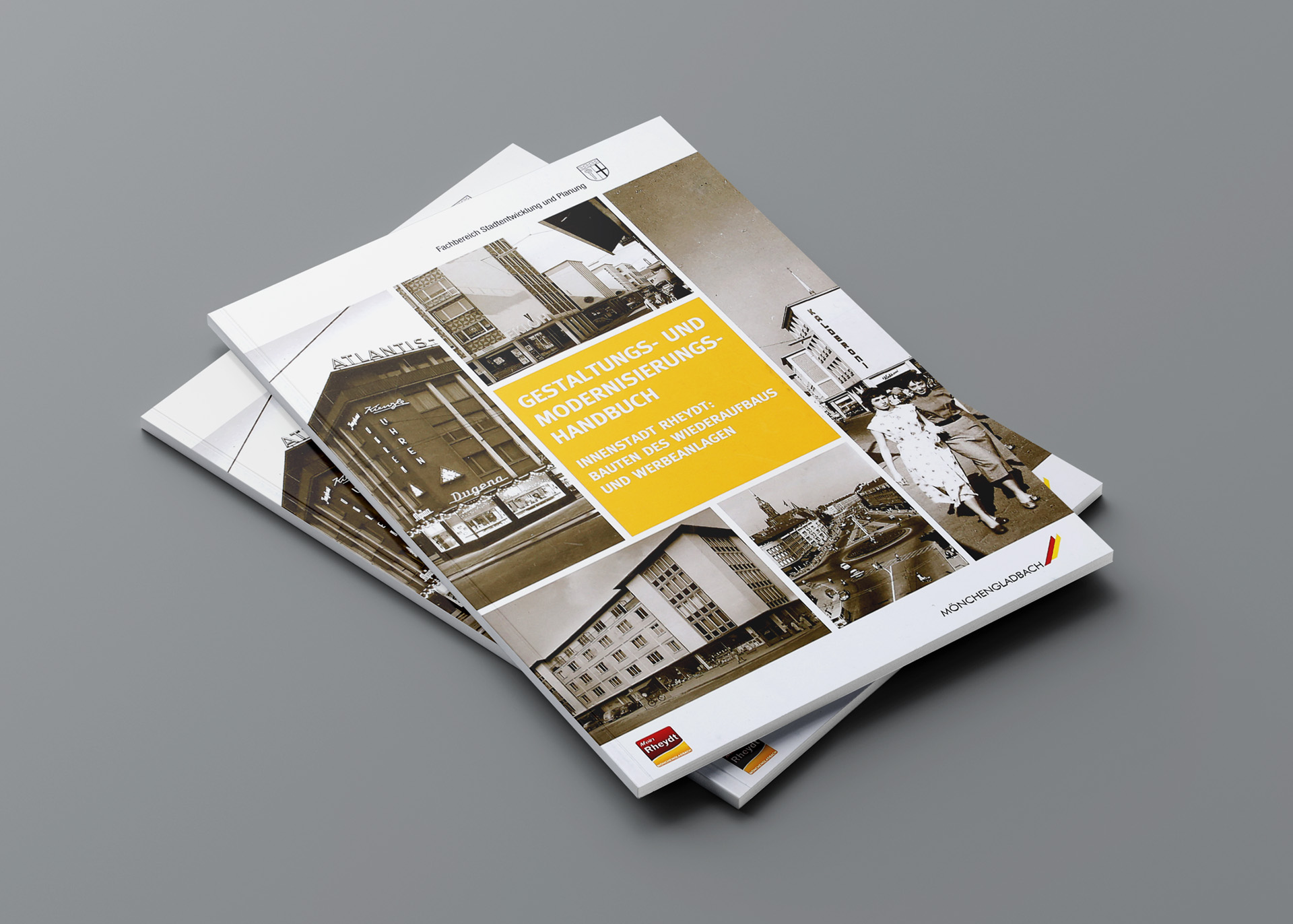 Strauss_Fischer_Handbuch_Rheydt_0