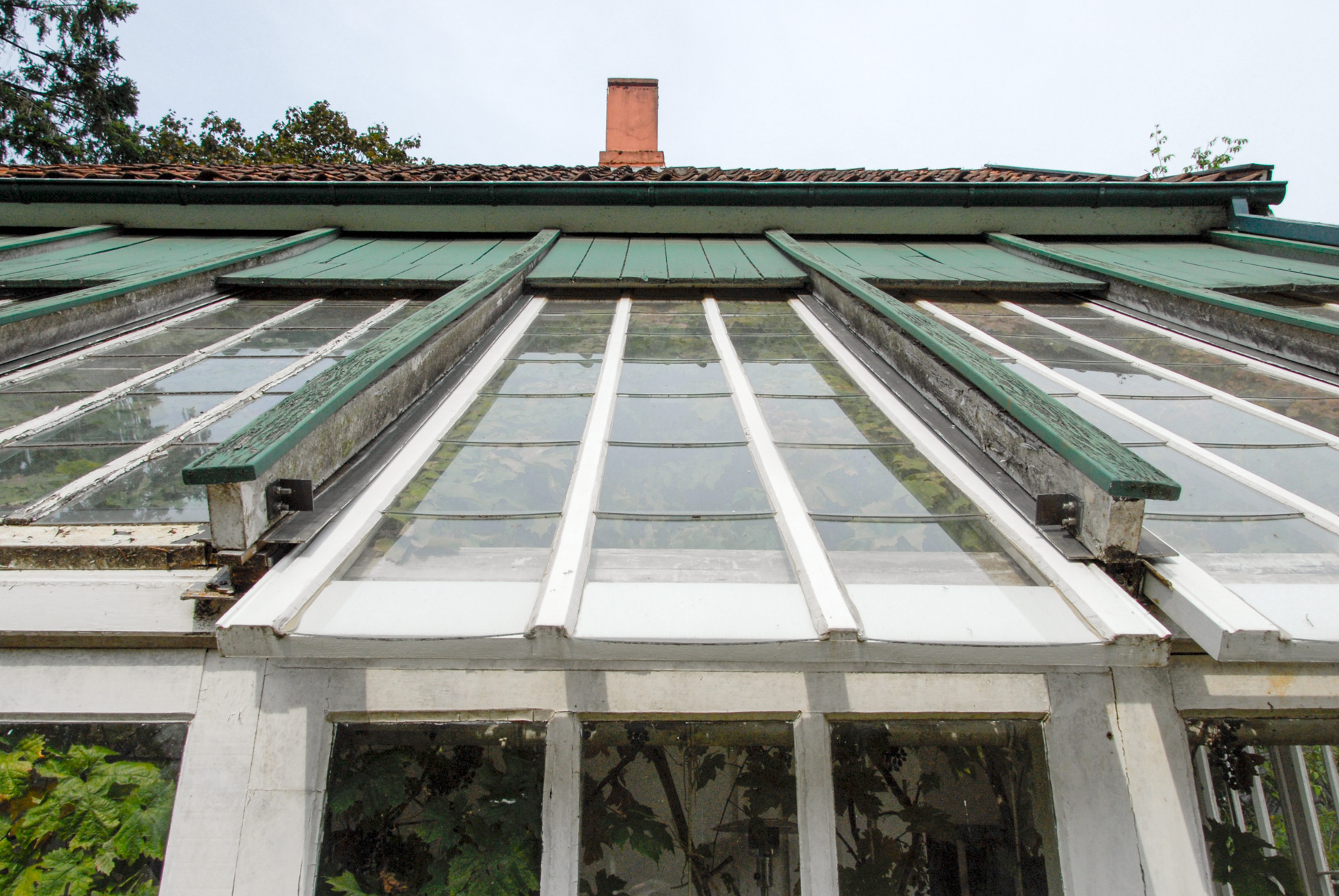 Strauss_Fischer_Orangerie_13